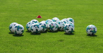 od体育官网app-美因茨英雄逆袭!主场2-1惊险胜多特蒙德,引爆德甲联赛舞台!,美因茨足球俱乐部德甲排名